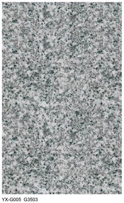Polished Granite Tile