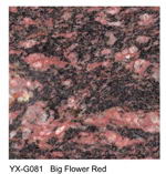 Big Flower Red granite