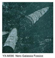 Nero Galassia Fossice marble